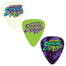 Load image into Gallery viewer, Guitar Picks