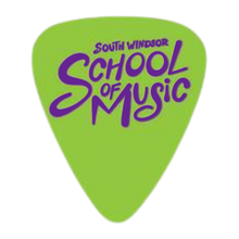 Load image into Gallery viewer, Guitar Picks