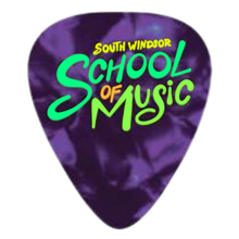 Load image into Gallery viewer, Guitar Picks