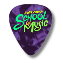 Load image into Gallery viewer, Guitar Picks
