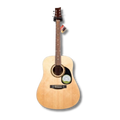 Acoustic Guitar Full Body