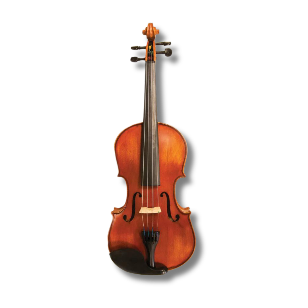 Zev Violin (All Sizes) – South Windsor School of Music
